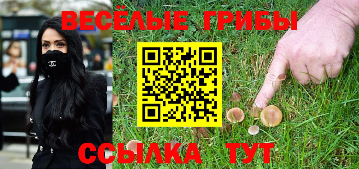 Псилоцибиновые грибы MAGIC MUSHROOMS  Вход с VPN  Курчалой  Псилоцибиновые грибы ЛСД 