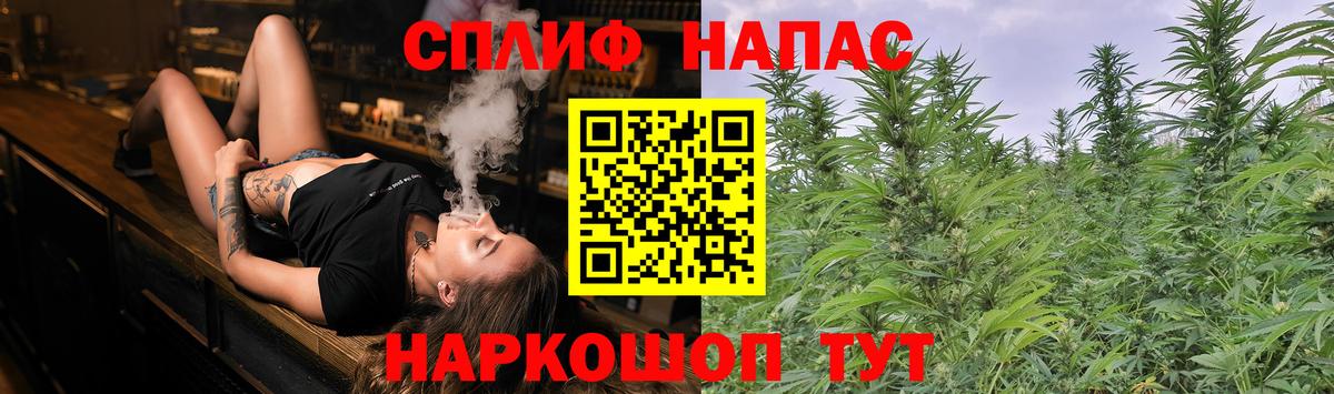 Бошки марихуана Ganja  Марихуана THC 21%  Бошки Шишки VHQ  Курчалой  Вход с VPN  Бошки Шишки SATIVA & INDICA 